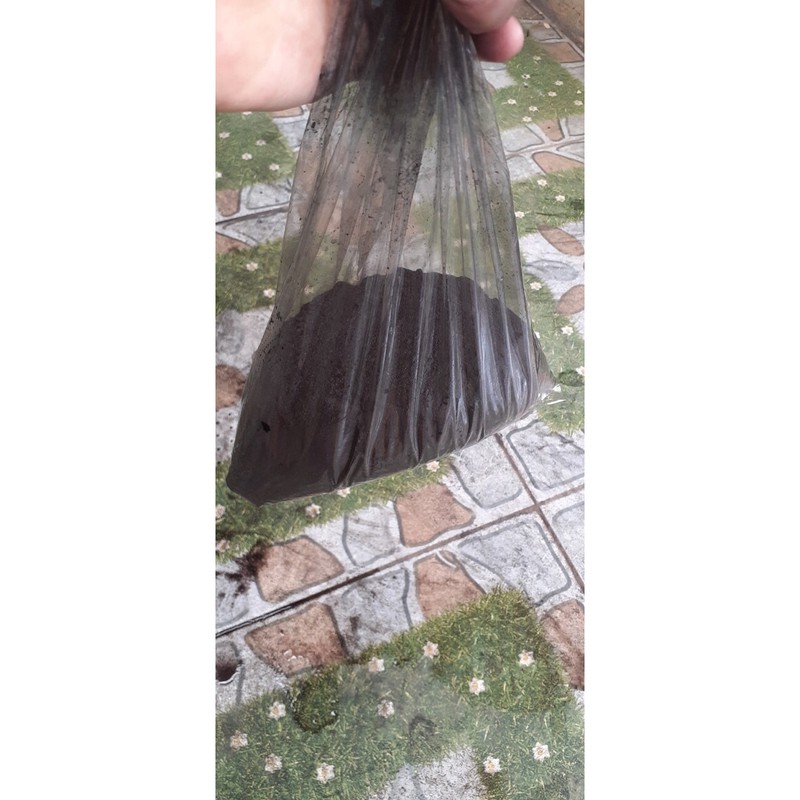 Chuẩn bị trước khi nhuộm lưới