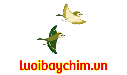 Lưới bẫy chim